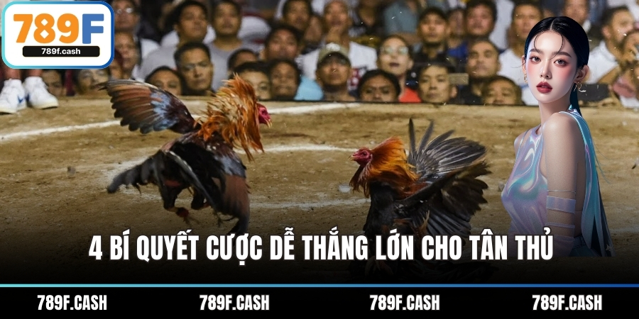4 bí quyết cược dễ thắng lớn cho tân thủ