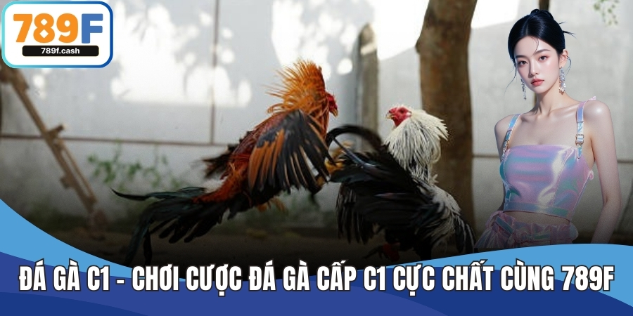 Đá gà C1 - Chơi Cược Đá Gà Cấp C1 Cực Chất Cùng 789F