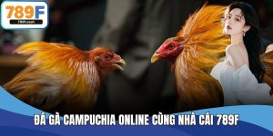 Đá Gà Campuchia Online Chất Lượng Cao Cùng Nhà Cái 789F