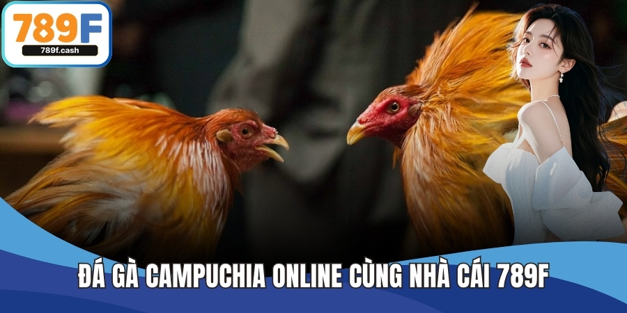 Đá Gà Campuchia Online Chất Lượng Cao Cùng Nhà Cái 789F