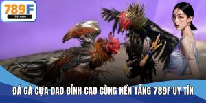 Đá Gà Cựa Dao Đỉnh Cao Cùng Nền Tảng 789F Uy Tín, An Toàn