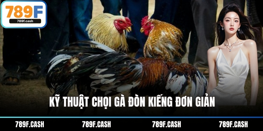 Kỹ thuật chọi gà đòn kiếng đơn giản
