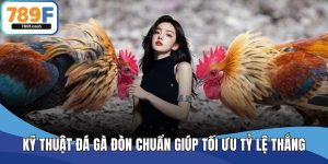 Kỹ Thuật Đá Gà Đòn Chuẩn Giúp Tối Ưu Tỷ Lệ Thắng Tại 789F