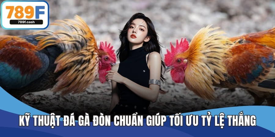 Kỹ Thuật Đá Gà Đòn Chuẩn Giúp Tối Ưu Tỷ Lệ Thắng Tại 789F