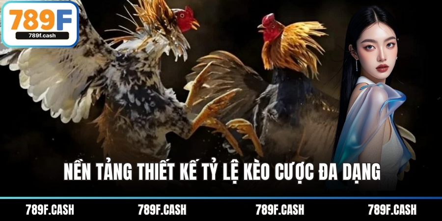Nền tảng thiết kế tỷ lệ kèo cược đa dạng