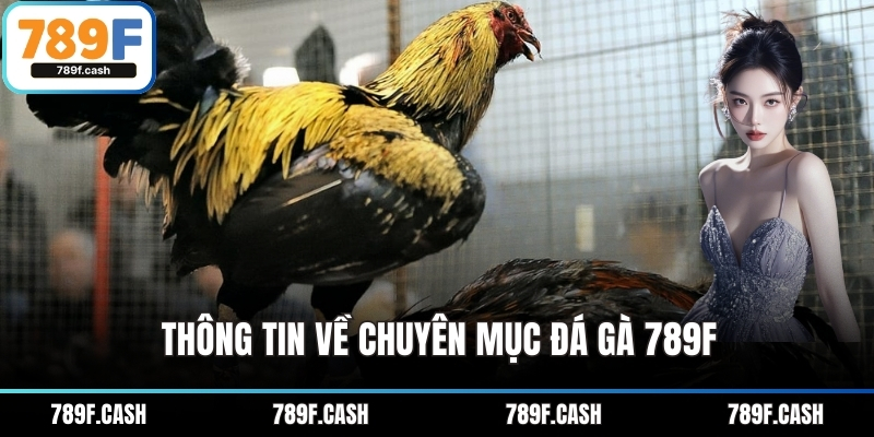 Thông tin về chuyên mục đá gà 789F