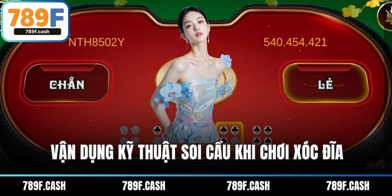 Vận dụng kỹ thuật soi cầu khi chơi xóc đĩa